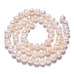 Coquillage De Mer Grade ab brins de perles de culture d'eau douce naturelles, pomme de terre, couleur de coquillage, 6.5~7.5x5~6mm, Trou: 0.8mm, Environ 54~55 pcs/chapelet, 13.39 pouce (34 cm)