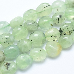 Prehnite Natural Prehnite Beads Strands, Tumbled Stone, Nuggets, 10~16x7~14mm, Hole: 0.8mm, about 25~35pcs/strand, 15.7 inch(40cm)