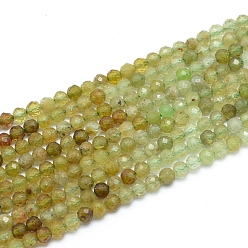 Garnet Natural Green Garnet Beads Strands, Andradite Beads, Faceted, Round, 3mm, Hole: 0.6mm, about 139pcs/strand, 14.96 inch(38cm)