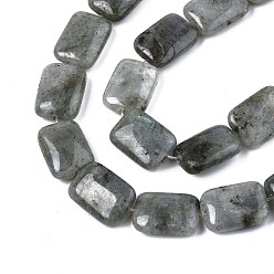 Labradorite Natural Labradorite Beads Strands, Rectangle, 17.5~18.5x13~13.5x6~7mm, Hole: 1mm, about 22pcs/strand, 15.5 inch