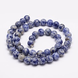 Jaspe Avec Point Bleu Brins de perles de jaspe de tache bleue naturelle, ronde, 8mm, Trou: 1mm, Environ 48 pcs/chapelet, 15.5 pouce