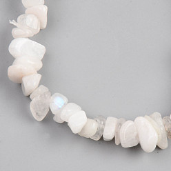 Rainbow Moonstone Unisex Chip Natural Rainbow Moonstone Beaded Stretch Bracelets, Inner Diameter: 1-3/4~2 inch(4.5~5cm)