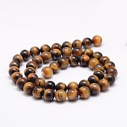 Tiger Eye Natural Tiger Eye Bead Strands, Round, Grade AB+, 8mm, Hole: 1mm, about 48pcs/strand, 15.5 inch