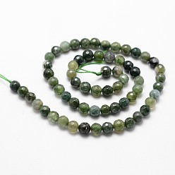 Moss Agate Natural Moss Agate Beads Strands, Faceted, Round, 6mm, Hole: 1mm, about 61pcs/strand, 14.9 inch~15.1 inch