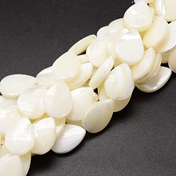 Creamy White Natural Trochid Shell/Trochus Shell Beads Strands, teardrop, Creamy White, 17~18x13x4mm, Hole: 1mm, about 23pcs/strand, 15.75 inch