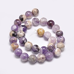 Amethyst Natural Chevron Amethyst Beads Strands, Round, 12mm, Hole: 1mm, about 33pcs/strand, 14.8 inch(37.5cm)