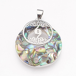 Paua Shell Natural Paua Shell Pendants, with Platinum Tone Brass Findings, Flat Round with Tree of Life, 32x28x6mm, Hole: 4x5mm