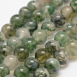 Moss Agate Natural Moss Agate Beads Strands, Round, 8mm, Hole: 1mm, about 47pcs/strand, 14.56~14.76 inch(37~37.5cm)