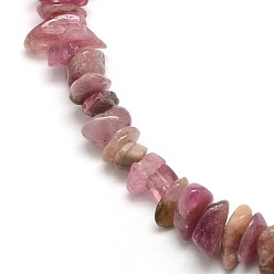 Tourmaline Natural Red Tourmaline Beads Strands, Chips, 6~10x4~6x3~5mm, Hole: 1mm, about 15~16 inch