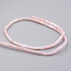 Rose Brumeux Shell normal de perles brins, teint, colonne, rose brumeuse, 8x4mm, Trou: 0.5mm, Environ 50 pcs/chapelet, 15.7 pouce