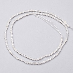 Rainbow Moonstone Natural Rainbow Moonstone Bead Strands, Faceted, Round, 2mm, Hole: 0.5mm, about 145pcs/strand, 13 inch(33cm)