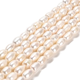 Natural Cultured Freshwater Pearl Beads Strands, Rice, Grade A+