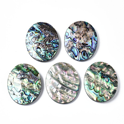 Natural Abalone Shell/Paua Shell Cabochons, with Freshwater Shell, Oval