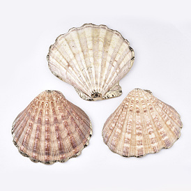 Electroplate Sea Shell Big Pendants, Scallop