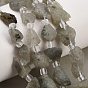 Natural Labradorite Beads Strands, Raw Rough, Nuggets, with Seed Beads