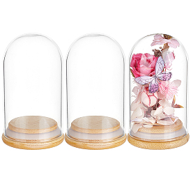 Стеклянный купол, декоративная витрина, террариум в форме колокольчика с бамбуковым основанием