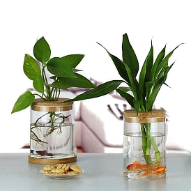 Стеклянная ваза-колонна, гидропонный террариум контейнер ваза, для домашнего офиса садовый декор