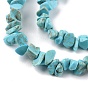 Natural Howlite Beads Strands, Dyed, Chip