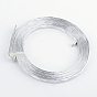Textured Aluminum Wire, Bendable Metal Craft Wire, Flat Craft Wire, Bezel Strip Wire for Cabochons Jewelry Making