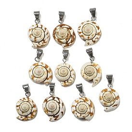 Natural Shiva Eye Shell Pendants, Shell Shape Charms with Alloy Snap on Bails