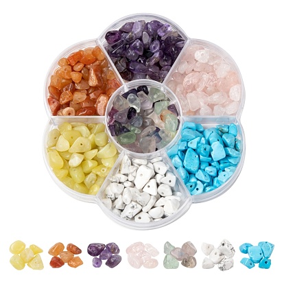 105G 7 Style Natural & Synthetic Gemstone Beads, Chip