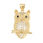 Латунные микро проложить кубического циркония подвески, сова прелести, прозрачные