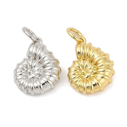 Латунь прелести, раковина, с целью перехода в кольце, стойки покрытие, без кадмия и без свинца, долговечный