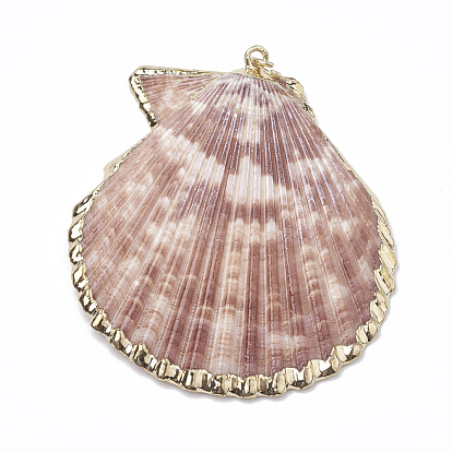 Sea Shell Pendants, Natural Color, Mixed Styles