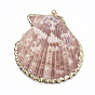 Sea Shell Pendants, Natural Color, Mixed Styles
