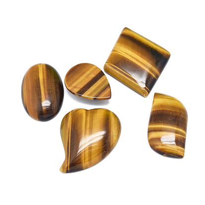 Cabujones de ojo de tigre naturales, formas mixtas
