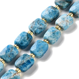 Natural Apatite Beads Strands, Faceted, Rectangle