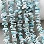 Natural Larimar Beads Strands, Chip