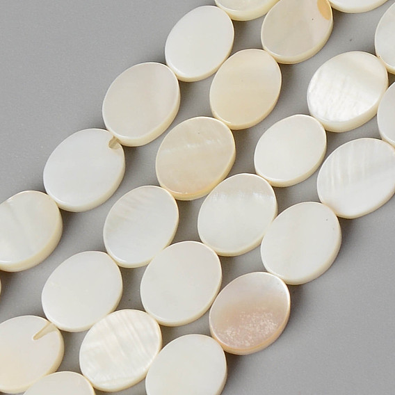 Natural Freshwater Shell Beads Strands, Oval
