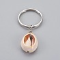 Cowrie Shell Keychain, with 316 Surgical Stainless Steel Keychain Clasps