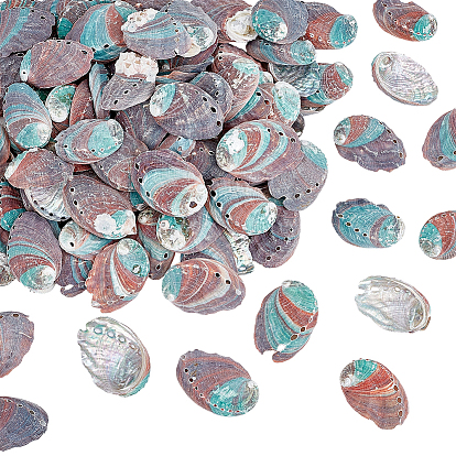 500г натуральные бусины из ракушек, формы раковины, нет отверстий / незавершенного, для украшения рабочего стола домашнего офиса