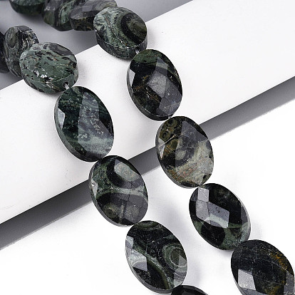 Естественной яшмы бисер нитей, Плоско-овальные, граненые