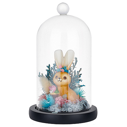 Glass Dome Cover, Decorative Display Case, Cloche Bell Jar Terrarium with Wood Base, Arch