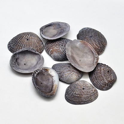Dyed Natural Shell Beads