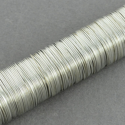 Iron Wire, 0.5mm, about 164.04 Feet(50m)/roll, 10 rolls/set