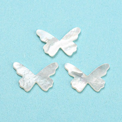 Natural Sea Shell Cabochons, Butterfly