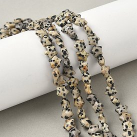 Нити бусин из натуральной далматинской яшмы в форме звезды