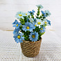 Silk Cloth Flower Pot, Artificial Flower, Pretending Prop Decorations