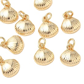 Colgantes de latón Shegrace, encantos de forma de concha, sin cadmio, plomo, níquel, con anillo de salto