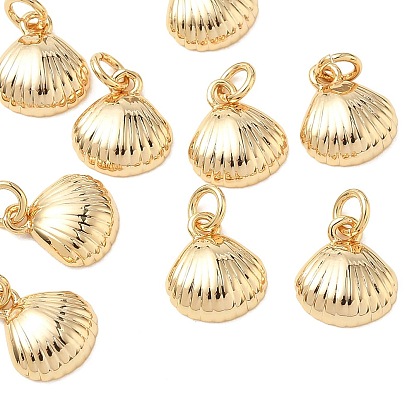Colgantes de latón Shegrace, encantos de forma de concha, sin cadmio, plomo, níquel, con anillo de salto