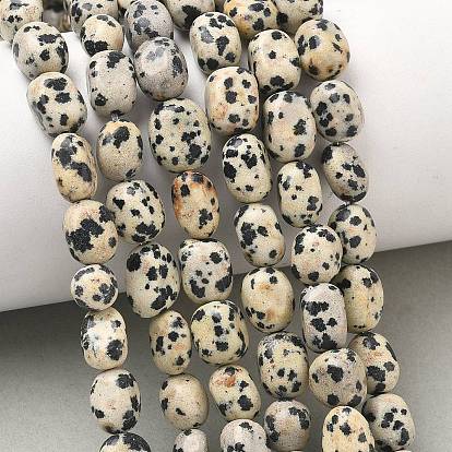 Natural Dalmatian Jasper Beads Strands, Tumbled Stone, Nuggets