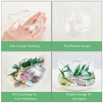 BENECREAT Ocean Them Microlandscape Glass Cat Making Kit, Including Glass Vase, Silica Sands, Shell & Natural Amethyst & Aventurine & Opalite Beads