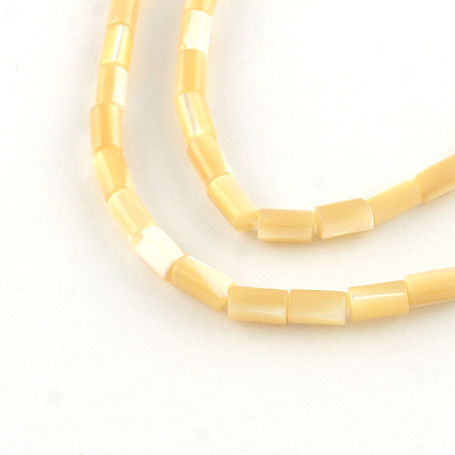 Column Natural Trochid Shell/Trochus Shell Beads Strands, 5~6x3.5mm, Hole: 0.5mm, about 68pcs/strand, 15.7 inch