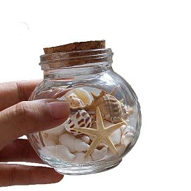 Wishing Bottle Ornaments, Shell Starfish inside, for Home Decoration