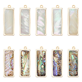 10шт 2 стили подвески из натуральной ракушки пауа, с легкой позолоченной латунной фурнитурой