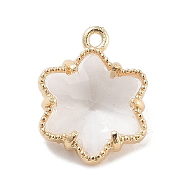 Brass Inlay Clear Glass Pendants, Long-Lasting Plated, Flower